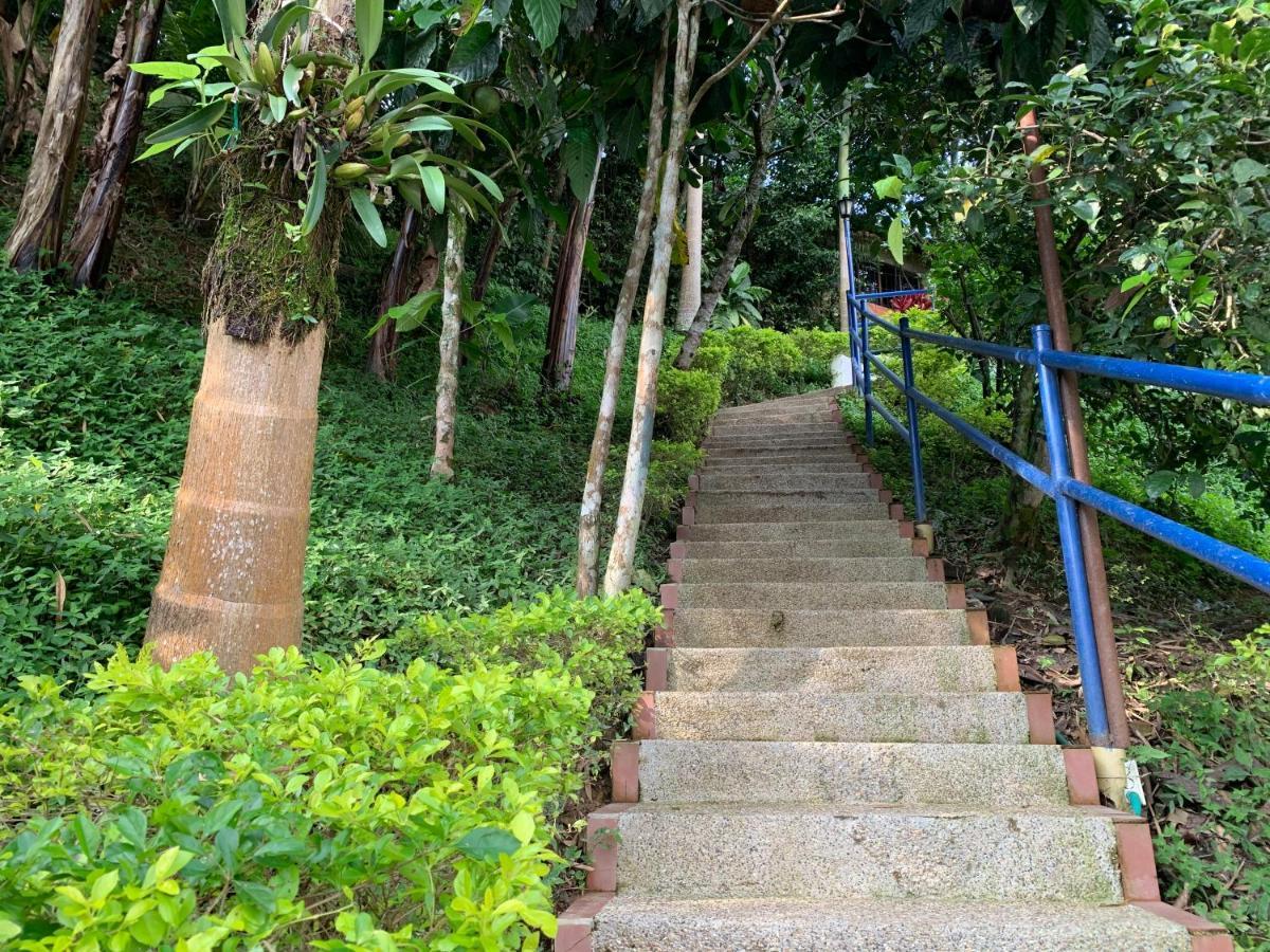 Finca Altamira ラ・ベガ エクステリア 写真